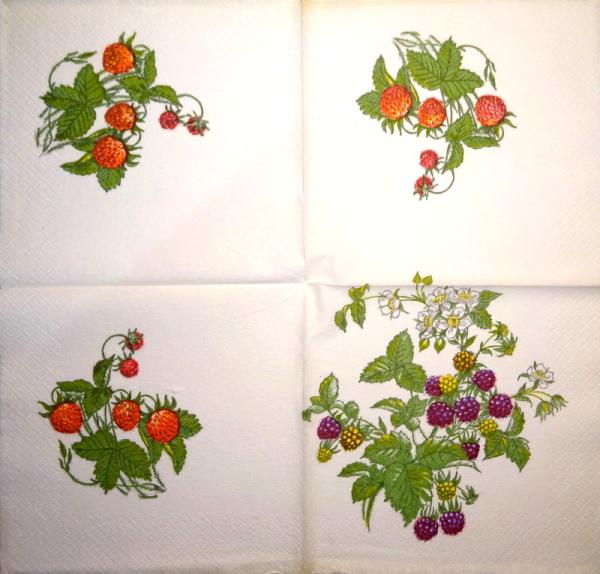 BEE-909 Beeren - 3-lagig